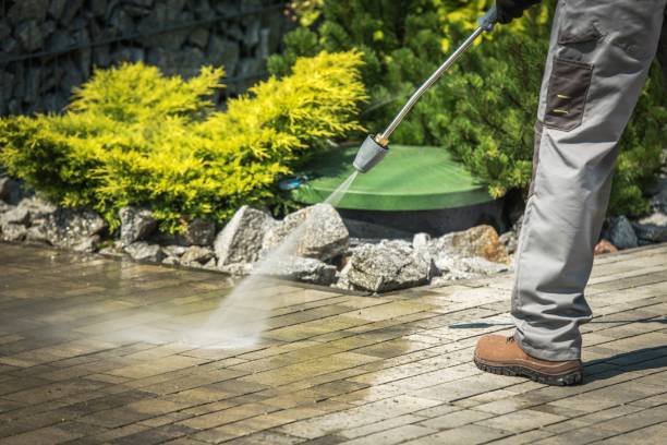 Best Parking Lot Cleaning in Nes, IL